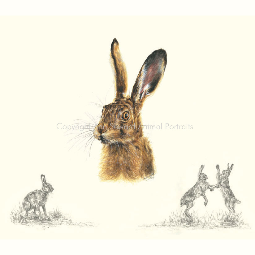 Thumbnail of The Hare